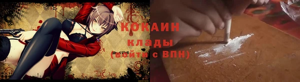 гашик Няндома