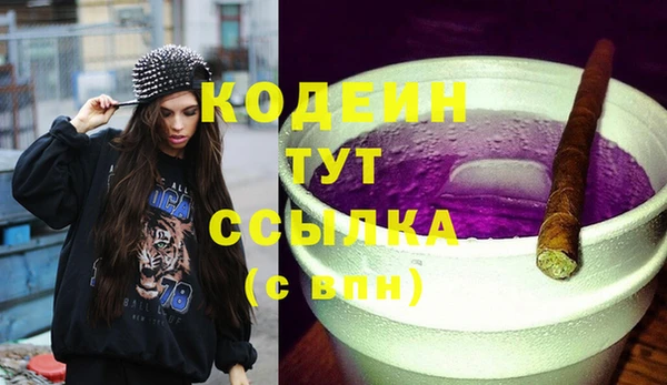 стаф Осинники
