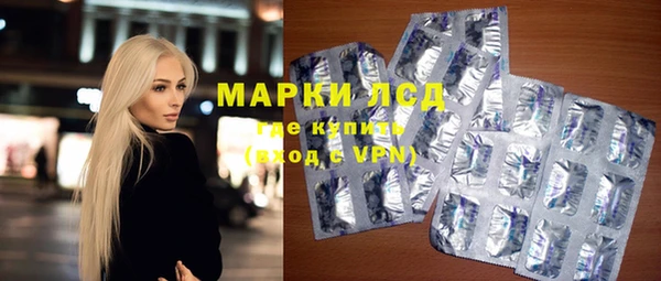 гашик Няндома
