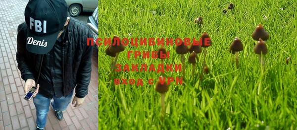 гашик Няндома