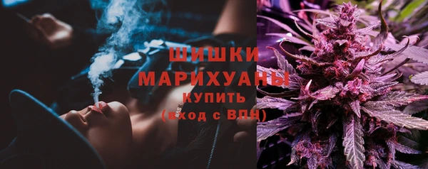 гашик Няндома