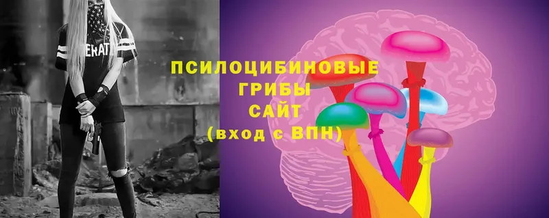 даркнет сайт  Тара  Галлюциногенные грибы Cubensis 