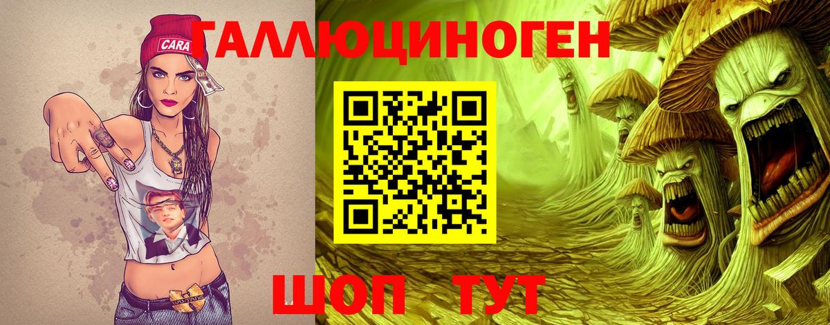 Тара  Псилоцибиновые грибы Psilocybine cubensis  Вход с VPN  Псилоцибиновые грибы мицелий 