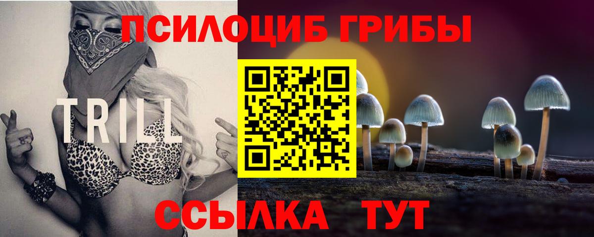 Псилоцибиновые грибы Psilocybine cubensis Тара